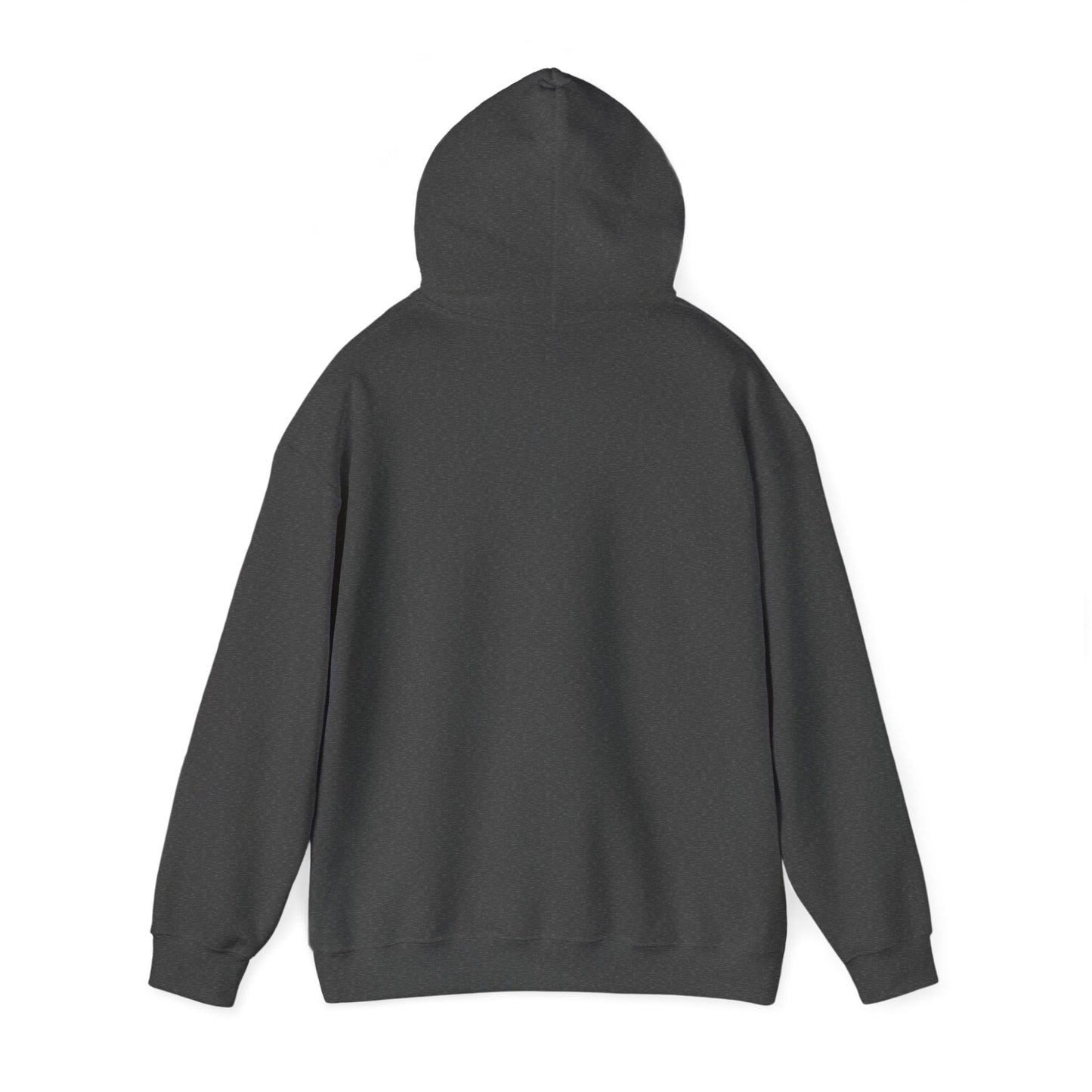 Raptor Boy Logo Hoodie