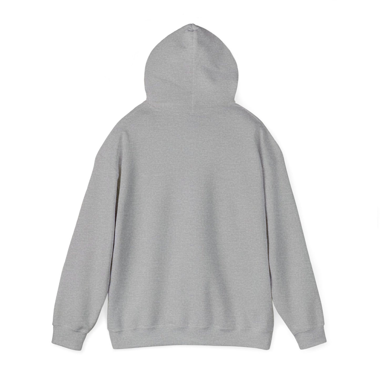Raptor Boy Hoodie