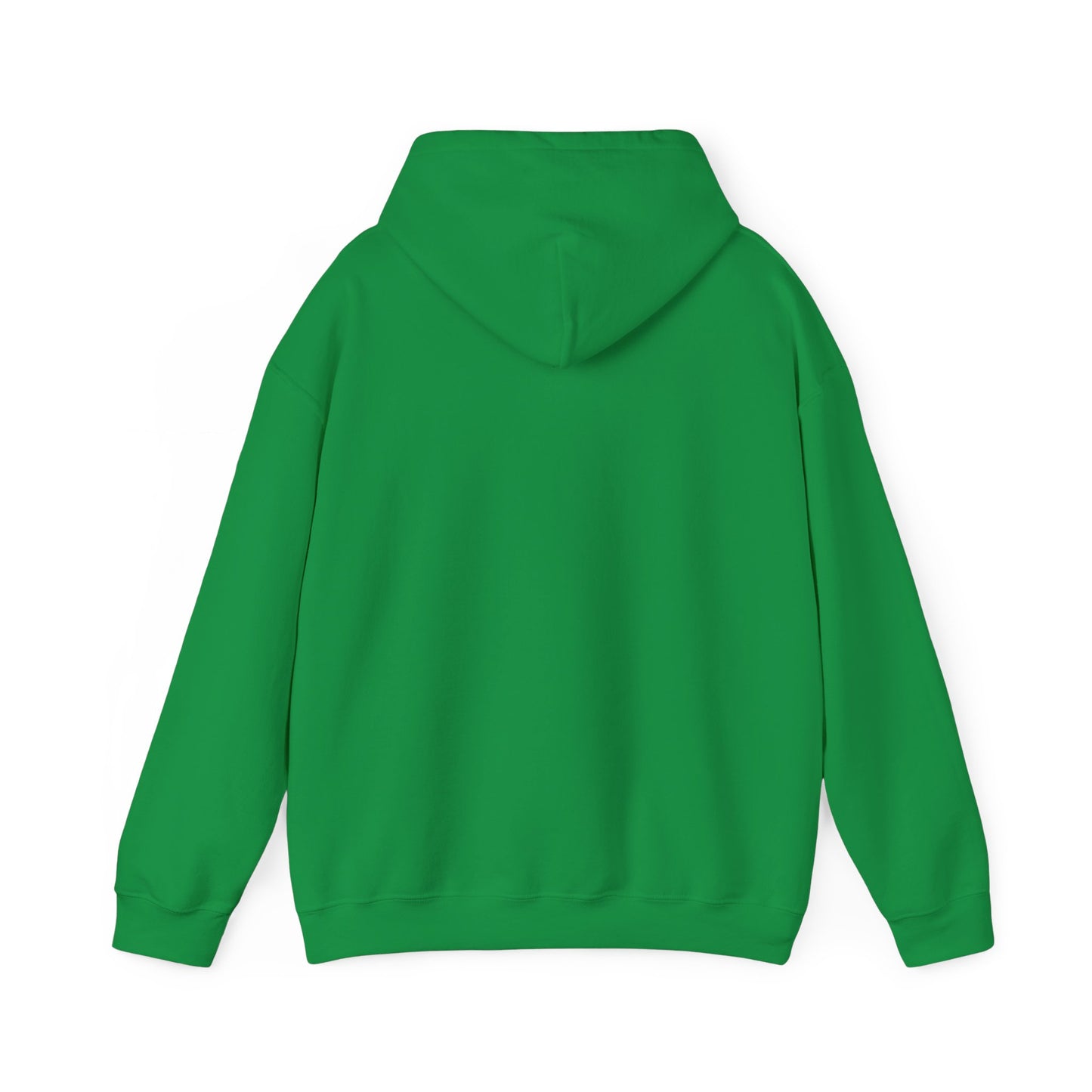 Raptor Boy Hoodie