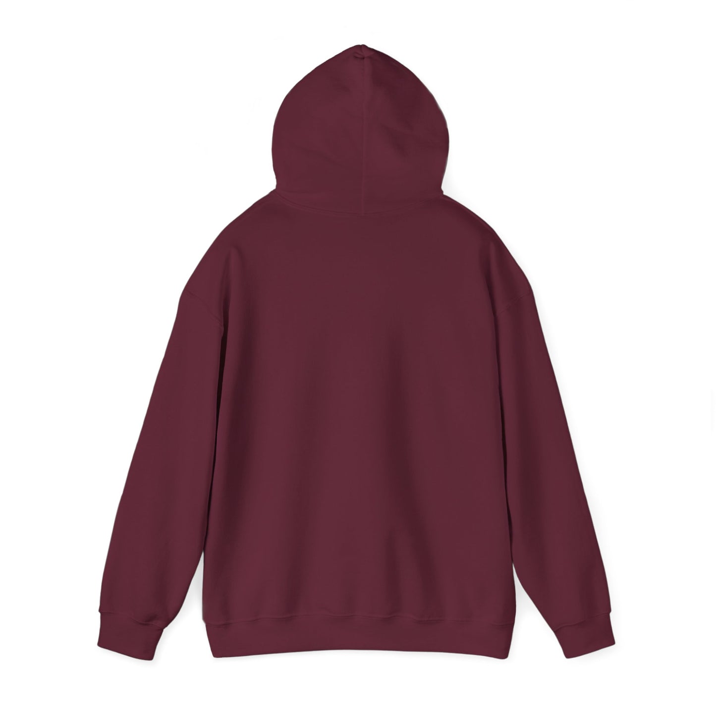 Raptor Boy Hoodie