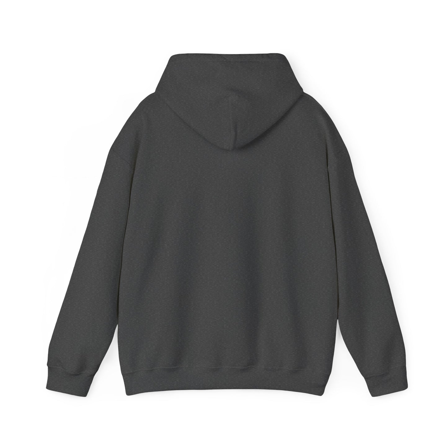 Raptor Boy Hoodie