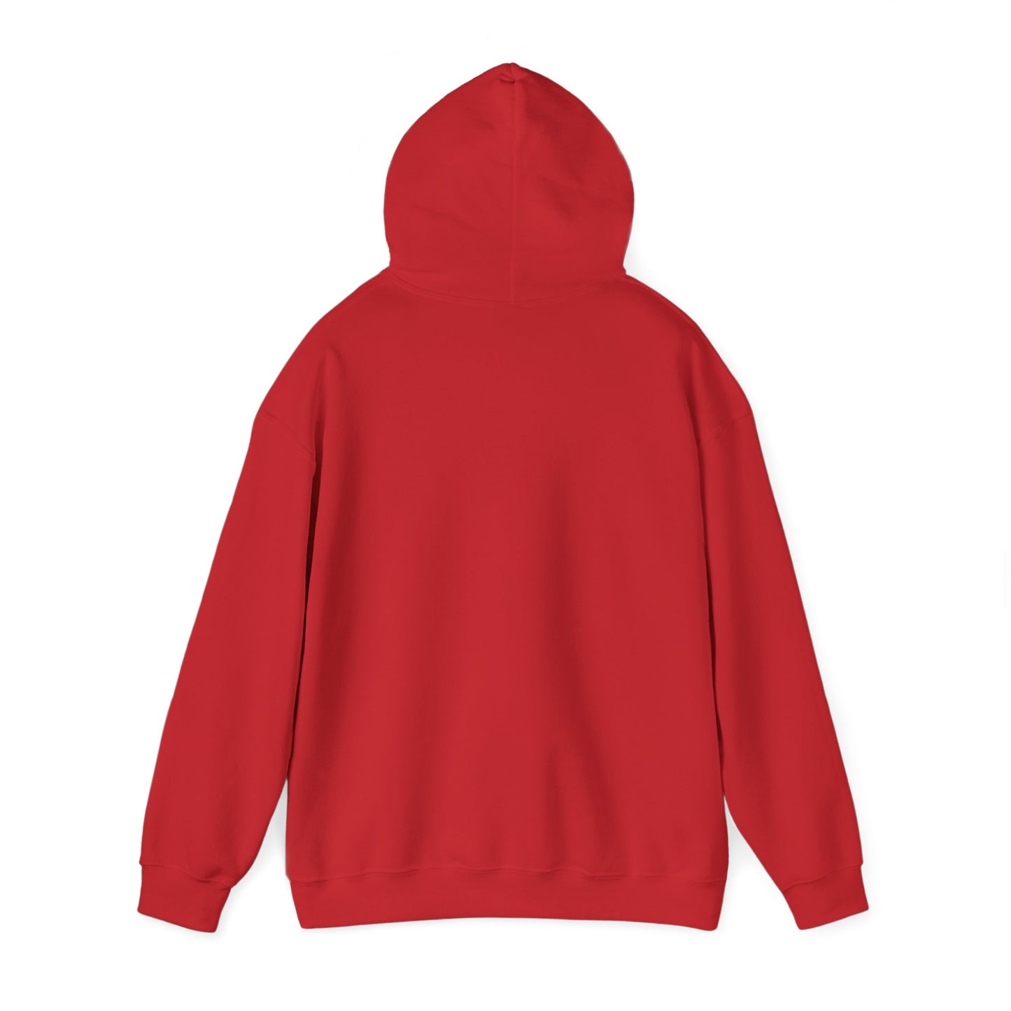 Raptor Boy Hoodie