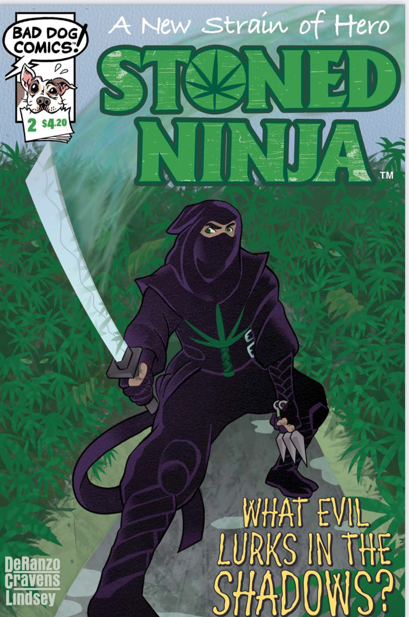 Stoned Ninja: A New Strain of Hero #2